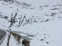 2017-09-10 12-14-44 1610e6e7